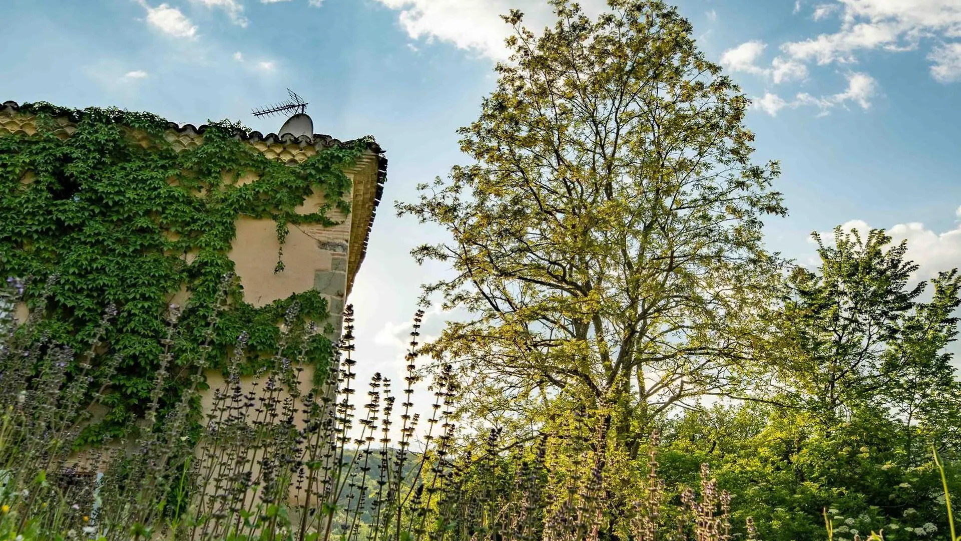 Vakantiehuis La Bastide Villa Puycalvel Lautrec Frankrijk
